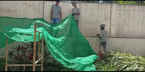 Aplicação de tela — Cond. Edf. Serra Real, Graça